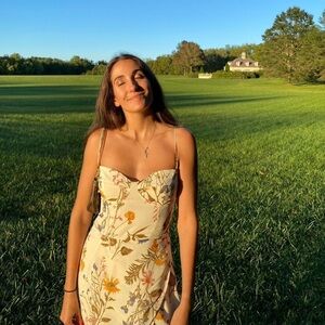 REFORMATION Kourtney Dress in Frolic 2